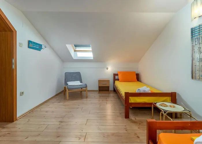 Pet Friendly In Novi Vinodolski