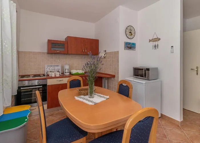 Pet Friendly In Novi Vinodolski